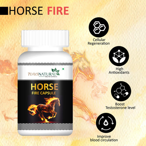 Ayurvedic Himalayan Shilajit 60 Capsule and Horse Power oil combo