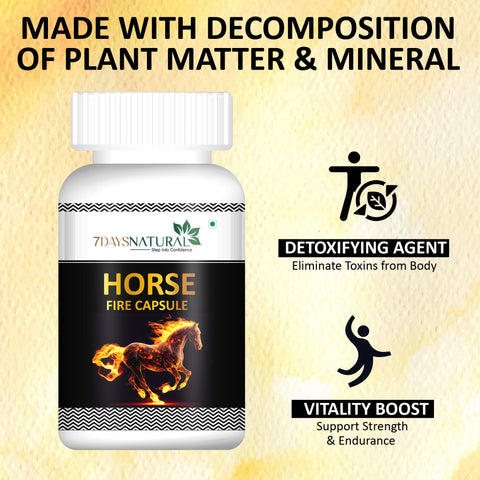 Ayurvedic Himalayan Shilajit 60 Capsule and Horse Power oil combo